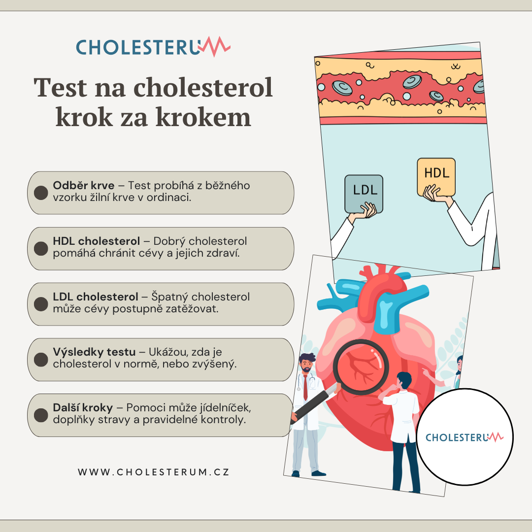 Test na cholesterol: Kdy, proč a jak probíhá? Infografika: Rychlý průvodce testem na cholesterol